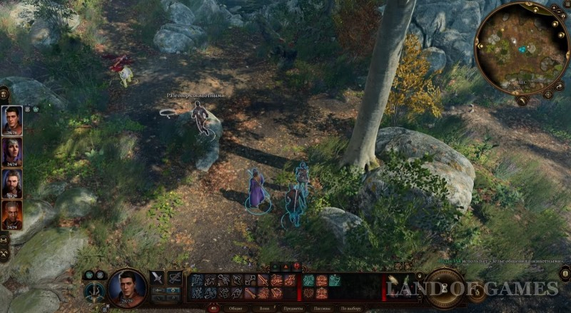 Detenysh medvesycha in Baldur's Gate 3: how to find and tame