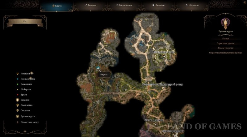Detenysh medvesycha in Baldur's Gate 3: how to find and tame