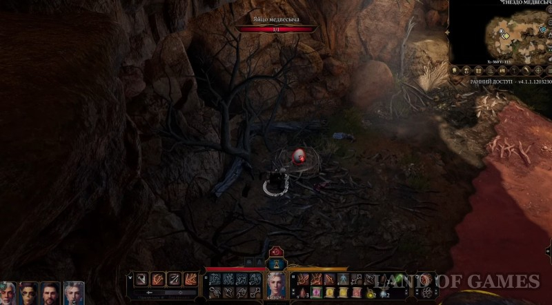 Cub of the medvesycha in Baldur&rsquo ;s Gate 3: how to find and tame
