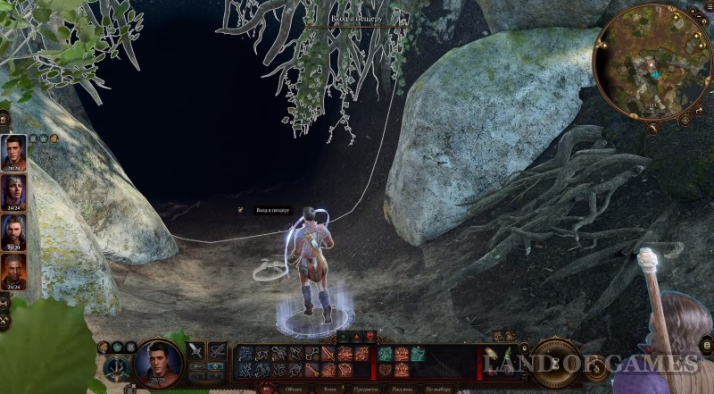 Cub cub in Baldur's Gate 3: how to find and tame