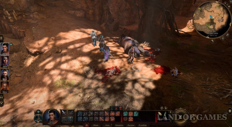 Detenysh medvesycha in Baldur's Gate 3: how to find and tame