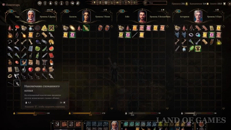 Detenysh medvesycha in Baldur's Gate 3: how to find and tame