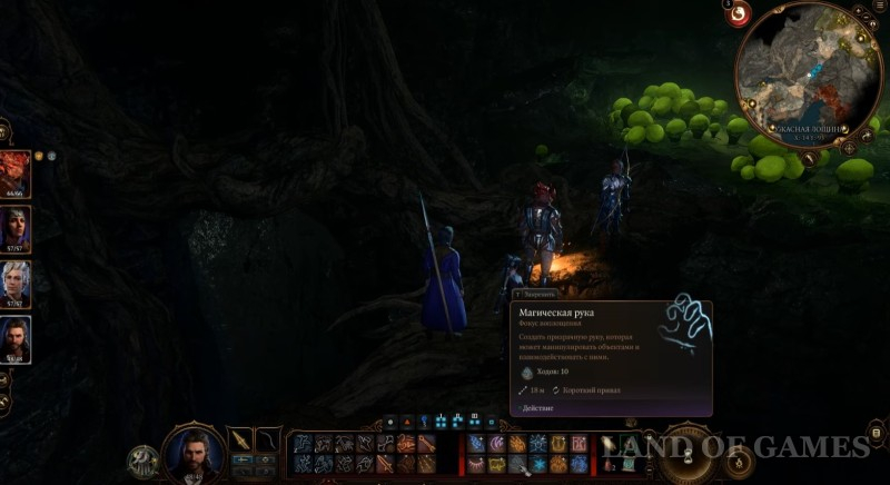  Dobrogrib in Baldur's Gate 3: who to give it to and where to find the mushroom picker