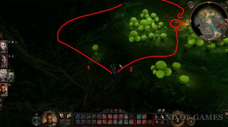  Dobrogrib in Baldur's Gate 3: who to give it to and where to find the mushroom picker