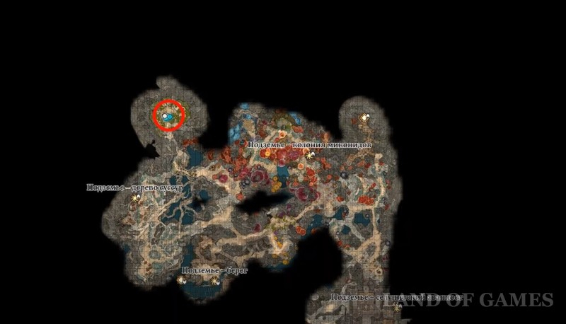  Dobrogrib in Baldur's Gate 3: who to give it to and where to find the mushroom picker