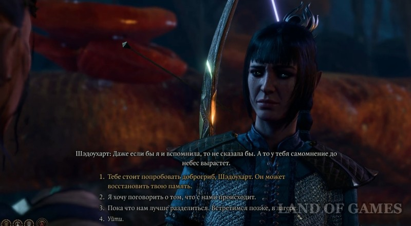  Dobroshroom in Baldur's Gate 3: who to give it to and where to find the mushroom picker