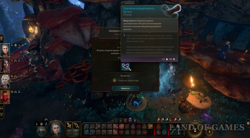  Dobroshroom in Baldur's Gate 3: who to give it to and where to find the mushroom picker