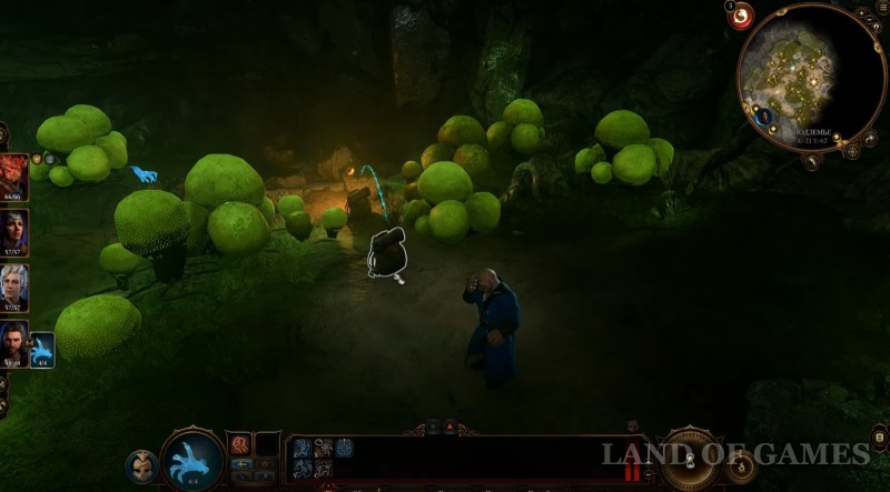  Dobroshroom in Baldur's Gate 3: who to give it to and where to find the mushroom picker