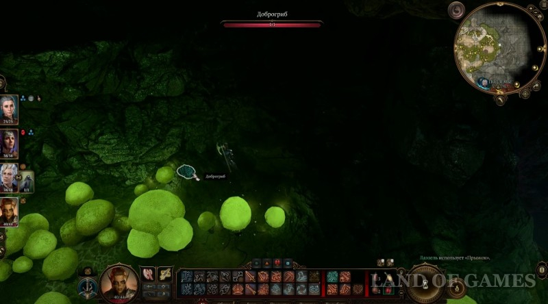  Dobroshroom in Baldur's Gate 3: who to give it to and where to find the mushroom picker