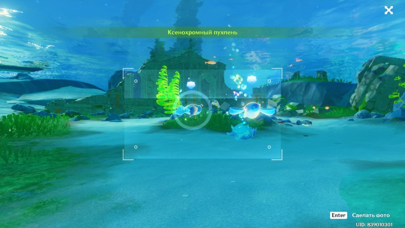 The Science of Light and Shadow Fountain of Enchantment in Genshin Impact: How to Take a Photo